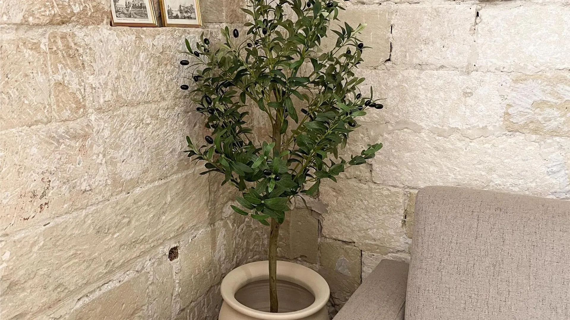 Apartment Les Appartements Du Clocher Avignon